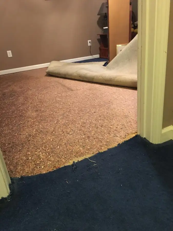Carpet pad removal revealing water damage during Drying & Dehumidification in Helena
