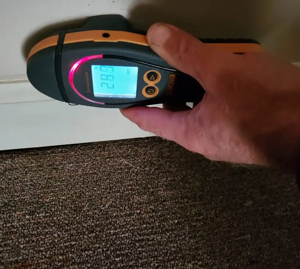 Moisture detection at baseboard during Mold Inspection & Testing in Helena